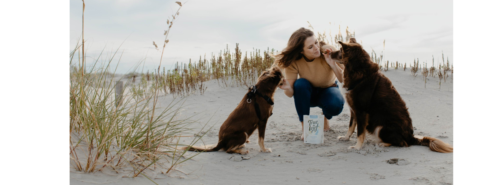 Redefining Pet Wellness 