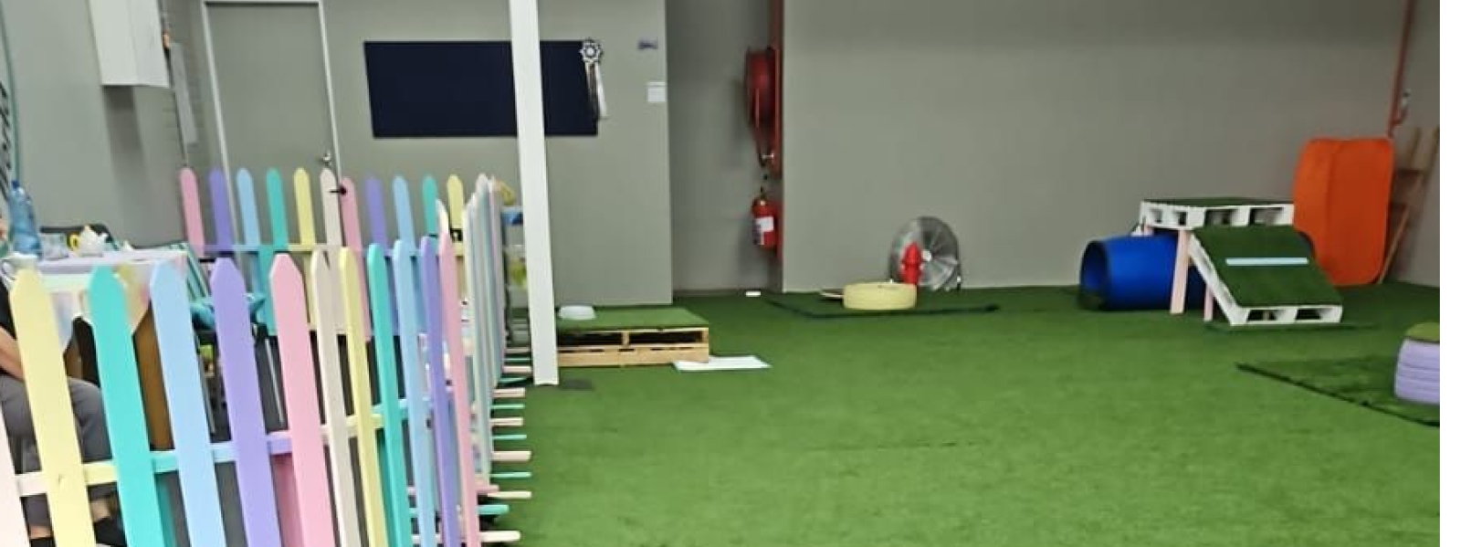 Talliwags Wellness World