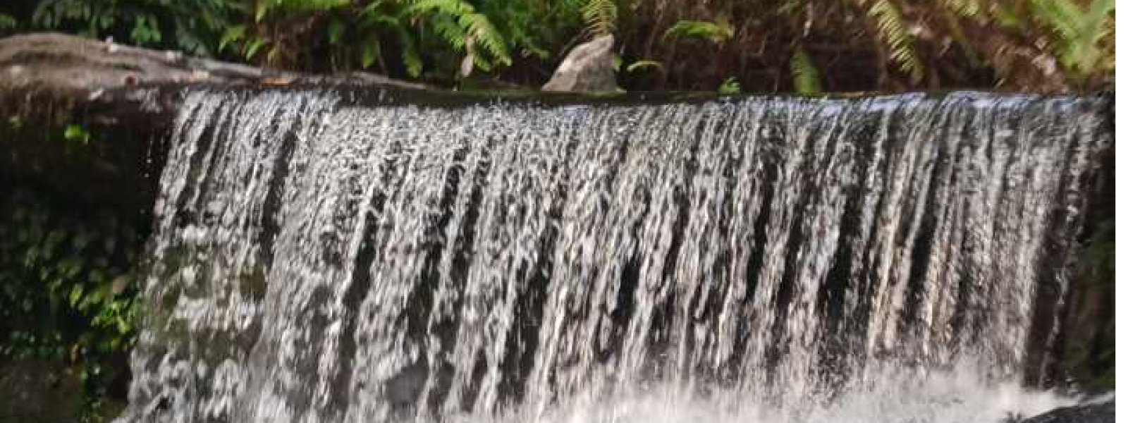  Tourism, Agrofood Trade