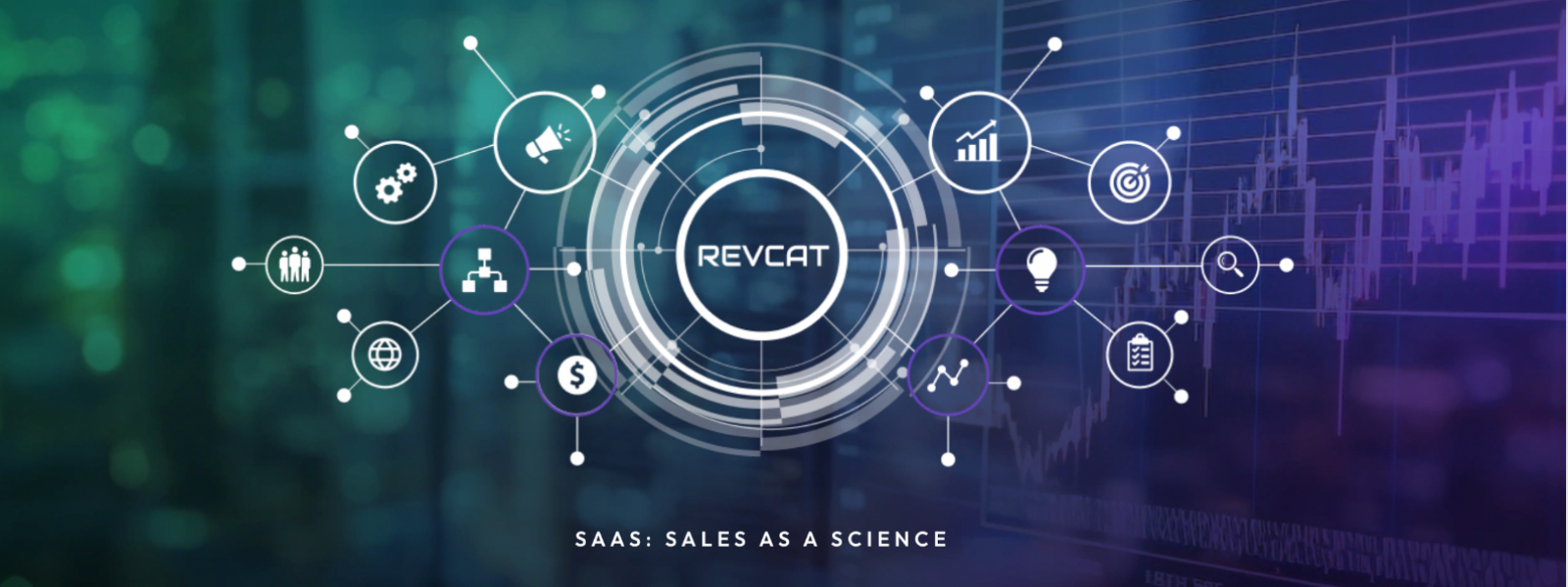 AI CO‐PILOT FOR STARTUPS